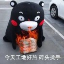 AA芳草君