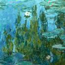 。。。。。vh_313