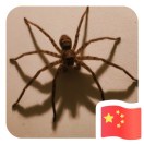 boox789-棉花糖网络安全资源站