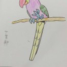 奧体中心不可能