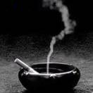 将来事！将来说！！的头像-博士钣金 - www.bsbanjin.com