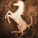 夜空中最亮的星