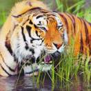 【把你的名字写在烟上】我想认认真真谈完这场恋爱 只有开始没有结束