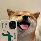 在忙