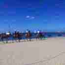 GRACE～W店主头像