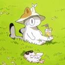 春暄鲨猫