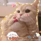 zhaoyuhao