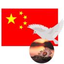 刀王的头像-博士钣金 - www.bsbanjin.com