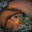 坑玉的头像-cg男孩