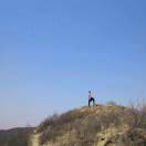 汇搜网络张伟-抖音小红书百度