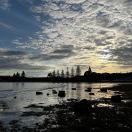 祁佳的旋律的头像-秀琴曲谱网