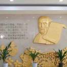 用户37068261-外科技术网
