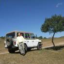 卢先生的头像-秀琴曲谱网