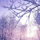 wx_金党林84