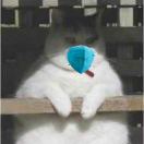 v_q_t's Avatar