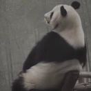 周先生的头像
