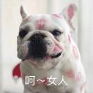 用户头像: