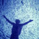 井山的头像 - macGF