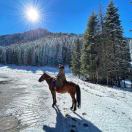 null转租&房东直租