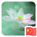 立式多级离心泵