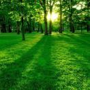 侯敬英（镔倩）