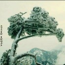 走近费曼丛书：别逗了，费曼先生！