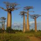 刘磊（18530699995）