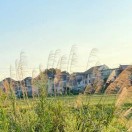 天空123--19397975707