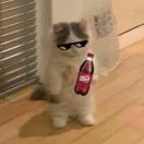 EX-亦生的头像-cg男孩