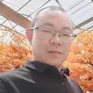 A贴砖张师傅18766805687