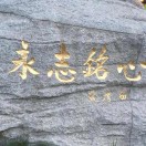 wx_缘来缘去89