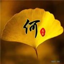何先生的头像-涛哥