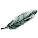 春风画雨的头像-Studio Mars.AI