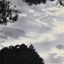 行在知前的头像 