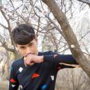 Mr������ɭ