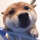 astedlhm's Avatar