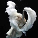 隔壁的虫子