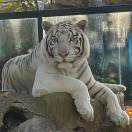 笑看风云的头像-正骨教程博客