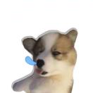Lokii