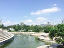 80后的春天