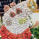 藝彩圖文蓉兒