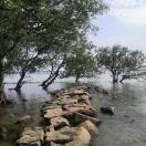 云工创客-*爱华.Machine Vision