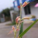 wx_闲静恬怡86