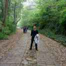 程文月的头像-博士钣金 - www.bsbanjin.com