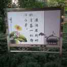 杨朝蓬