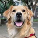 geng8840的头像 - macGF