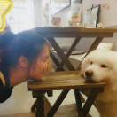 用户96351579的头像-博士钣金 - www.bsbanjin.com