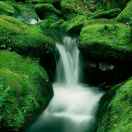 平安是福（健康平安）