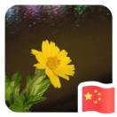 熊貓