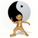 太极?